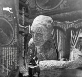 Lucius Works Here // El espíritu de los tiempos TAPE