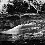 Rawtrachs // Ebb and Flow 12inch