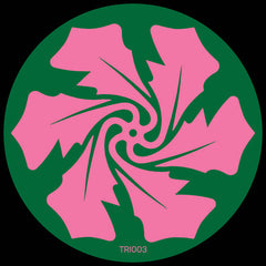 Verlake // Echoing 12inch
