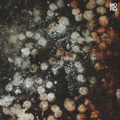 Chloe Lula // Ego Sum EP 12inch