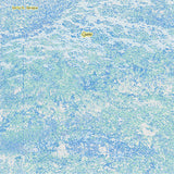 Emily A. Sprague // Cyano LP [BLACK]
