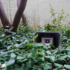 Jasmine Guffond // Muzak for the Encouragement of Unproductivity LP