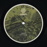 Rambadu // Energy Systems 2x12inch