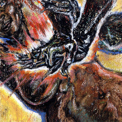 Shungu // Faith in the Unknown LP