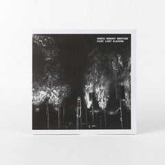Henrik Munkeby Nørstebø // Faint Light Blackens LP