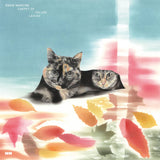 Eddie Marcon (ゑでぃまぁこん) // Carpet Of Fallen Leaves CD