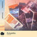 Pulsatilla // Fernweh TAPE