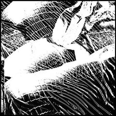 Anonymous Masturbaudioum // Fetish Vortex CD