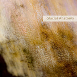 Glacial Anatomy // Field TAPE