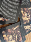 Fixation // A Guidance CD