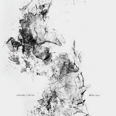 Michael Grigoni // Field Notes / Still Lifes LP