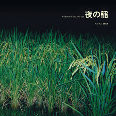 Reiko Kudo // Rice Field Silently Riping In The Night LP
