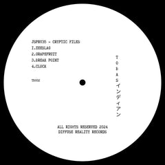 JSPRV35 // Cryptic Files 12inch