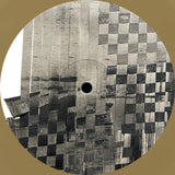 A_A // Versions / Flux 12inch [COLOR]