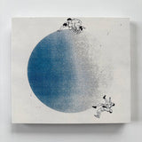 Altar Of Flies // A Lifetime 2xCD