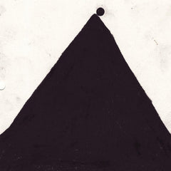 Machtelinckx / Jensson / Badenhorst / Wouters // Flock LP