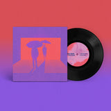 Ryan J Raffa & Sam Prekop / Wavefiler // Area Flood 7inch