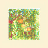 Ford Chastain // Reverie TAPE