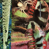 Vessel of Flesh + Kadaver // Foxjaw TAPE