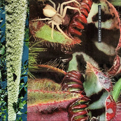 Vessel of Flesh + Kadaver // Foxjaw TAPE