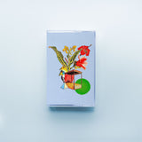 Fred Thomas // Critical Violets, Dream Erosion Pt. VII TAPE
