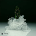 Various Artists (The Third Room) // Curation 04: Freddy K 12inch