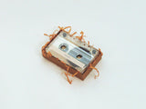 caapi // Wild & Free MIX TAPE