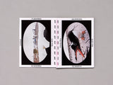 Halim Lee // Frozen Island. Live BOOK