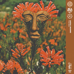 Earthly Measures // From Earth LP