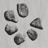 Dyslecta // Fulcrum 12inch