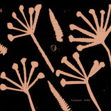 Unchained // Gabbeh LP