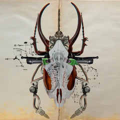 69db / Gen Unit // Split EP 12inch