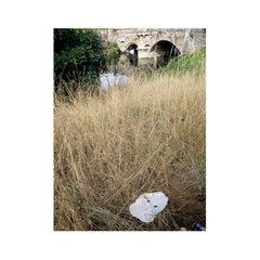 Germ Lattice // Corpusty 10inch