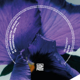 Various Artists (The Third Room) // Curation 06: GiGi FM 12inch