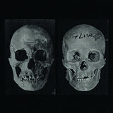 Government Alpha // The Human Race Was Restored To Life Repeatedly LP