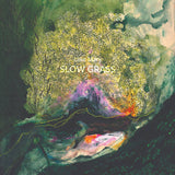 Lake Mary // Slow Grass LP