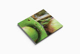 Various Artists (forms of minutiae) // Harkening Critters 3xCD