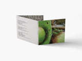 Various Artists (forms of minutiae) // Harkening Critters 3xCD