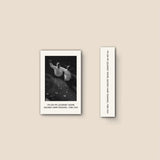 Various Artists (Death Is Not The End) // I'm on My Journey Home: Sacred Harp Singing, 1928-1934 TAPE