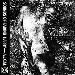 sounds of fading // Harry - A Life of Misery TAPE
