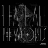 Untitled Noise // Decay Music n.8: I Hate All the Words LP