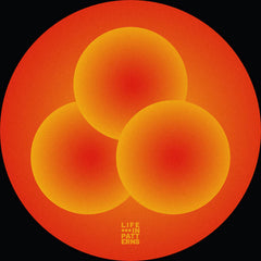 Specific Objects // Helios 12inch