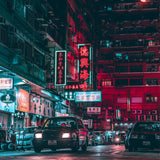 沙漠鱿鱼 // 上海／香港 LP [COLOR]