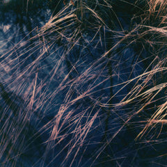 zakè & rhubiqs // Hild 2xCD