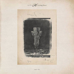 Gaul Plus // Hissing Nest 12inch