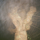 Forest Factory // HOLZWEG LP