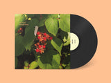 Adeline Hotel // Hot Fruit LP / CD