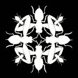 Mani Festo // Hunterr 12inch