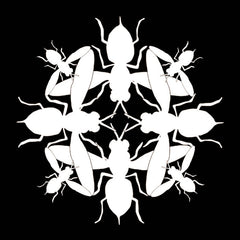 Mani Festo // Hunterr 12inch