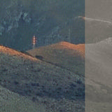 Murmur // hunny TAPE